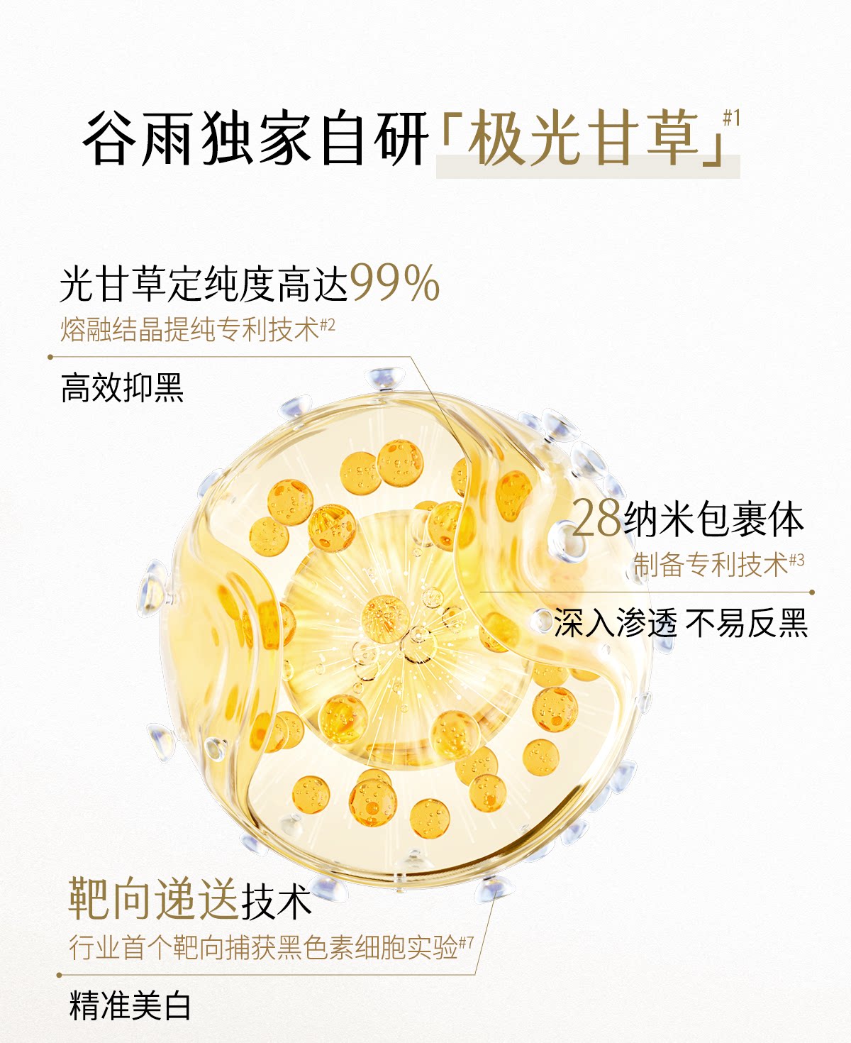 11-690ab31b0f833.png 