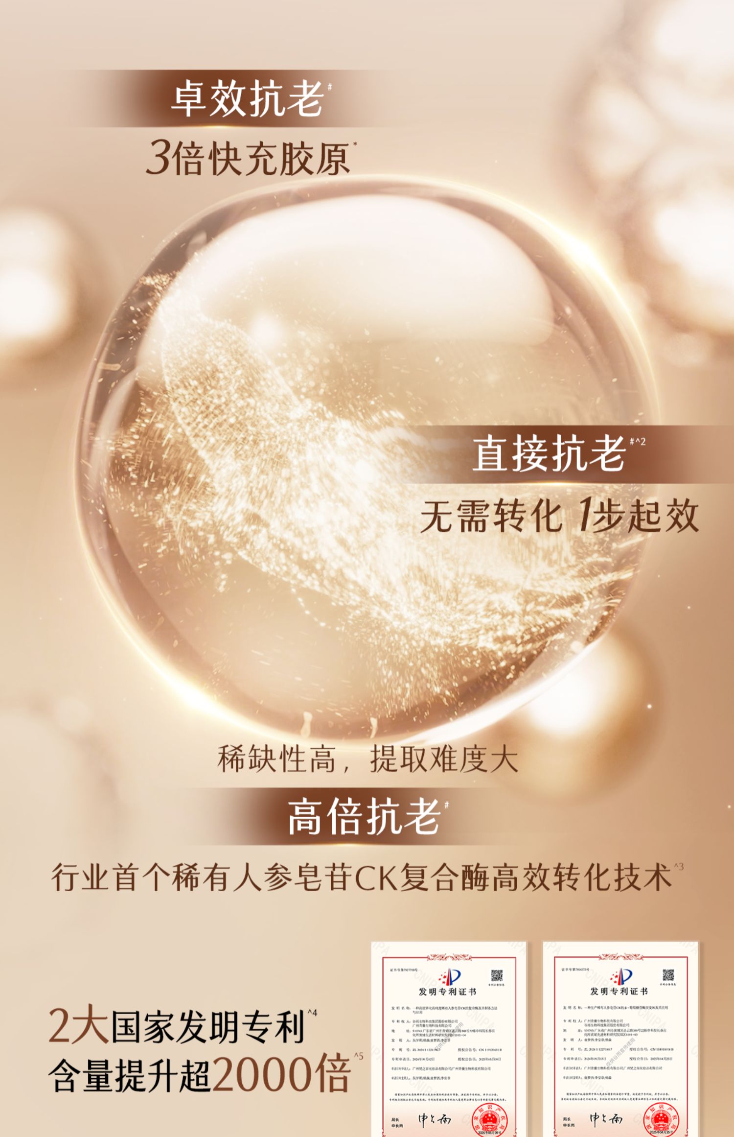 12-690ab31255f55.jpg 