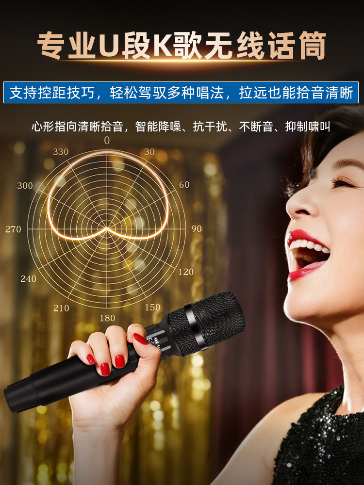 Philips Sd289A/289P Home Ktv Audio Set Karaoke All-In-One Machine Karaoke Outdoor Speaker