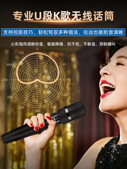 Philips SD289A/289P Heim-KTV-Audioset, Karaoke-All-in-One-Karaoke-Außenlautsprecher