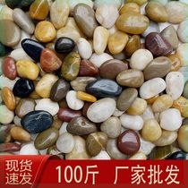 100 pounds of natural cobblestone paving courtyard garden landscaping rain flower stone size stone polished pebbles