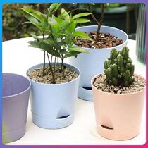 Round Plastic Planting Flower Pot Table Top Self-absorbing