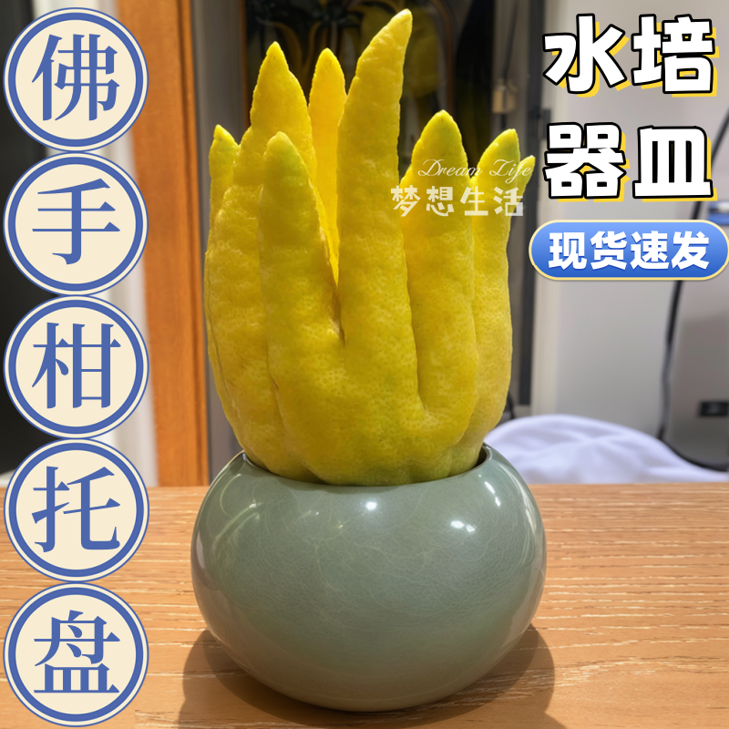 O1CN01ezXthR1bX8yF2s6ac_!!