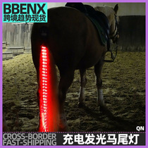 USB rechargeable LED luminous ponytail light with ponytail decorative light night high light warning anti-lost ponytail luminous strip