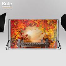 Landscape background cloth room bedroom scenery studio childrens photography photography pet photography studio photography ins background board