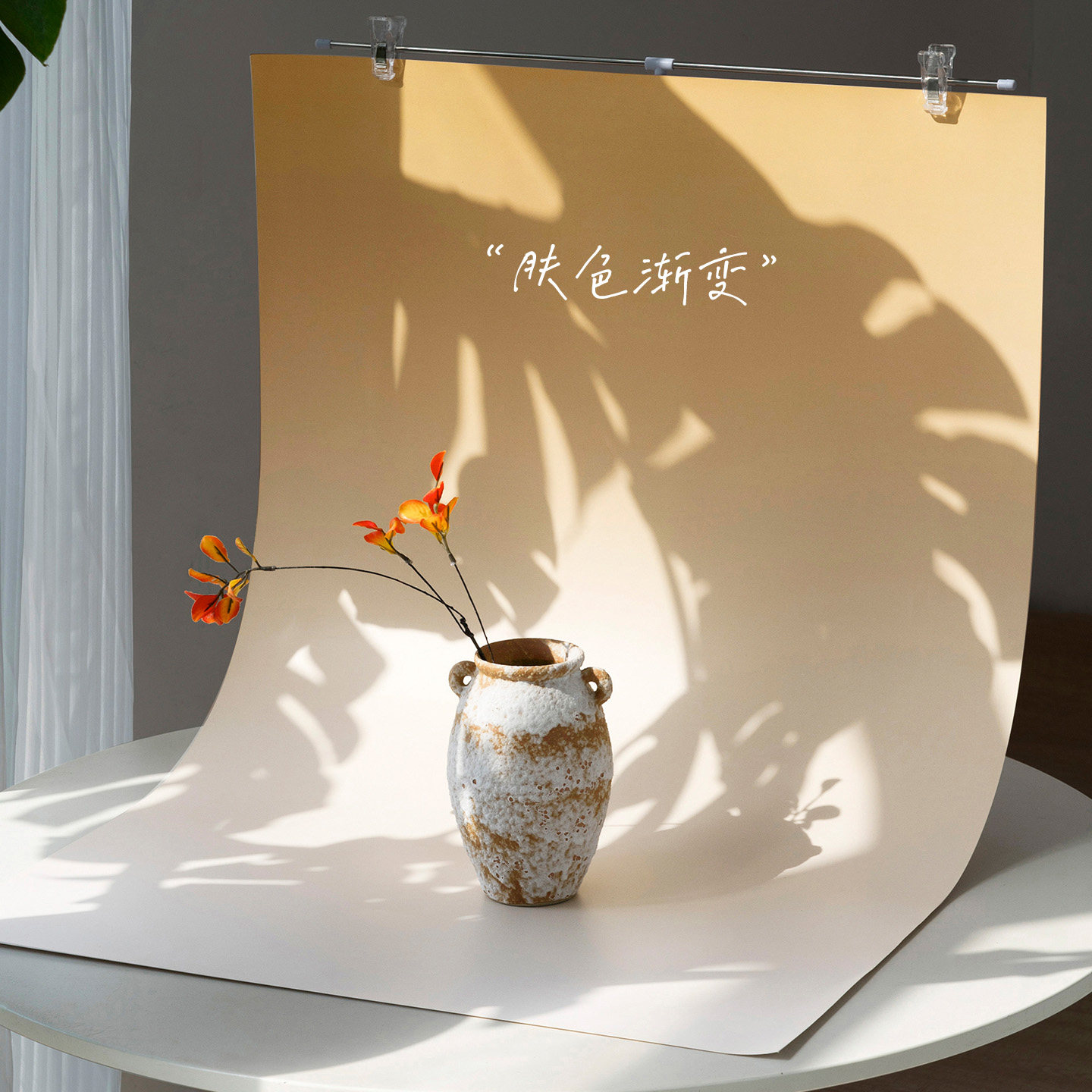 摄影背景纸天花板！双面渐变不反光，百元级静物拍摄直接封神_手机_淘宝数码网