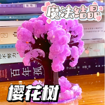 Paper tree blossoming cherry tree science experiment set creative DIY material package magic crystal handmade toys