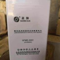 Shuangdeng GFM2v300ah battery solar DC screen UPS fire protection system and other original products nationwide