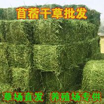 Cattle sheep horses alfalfa bales dried alfalfa hay pet store edible grass mounds compressed grass