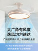 Hp Lighting 2025 New Model Invisible Fan Light Full Spectrum Variable Frequency Ceiling Fan Light Ceiling Fan Chandelier for Home Use
