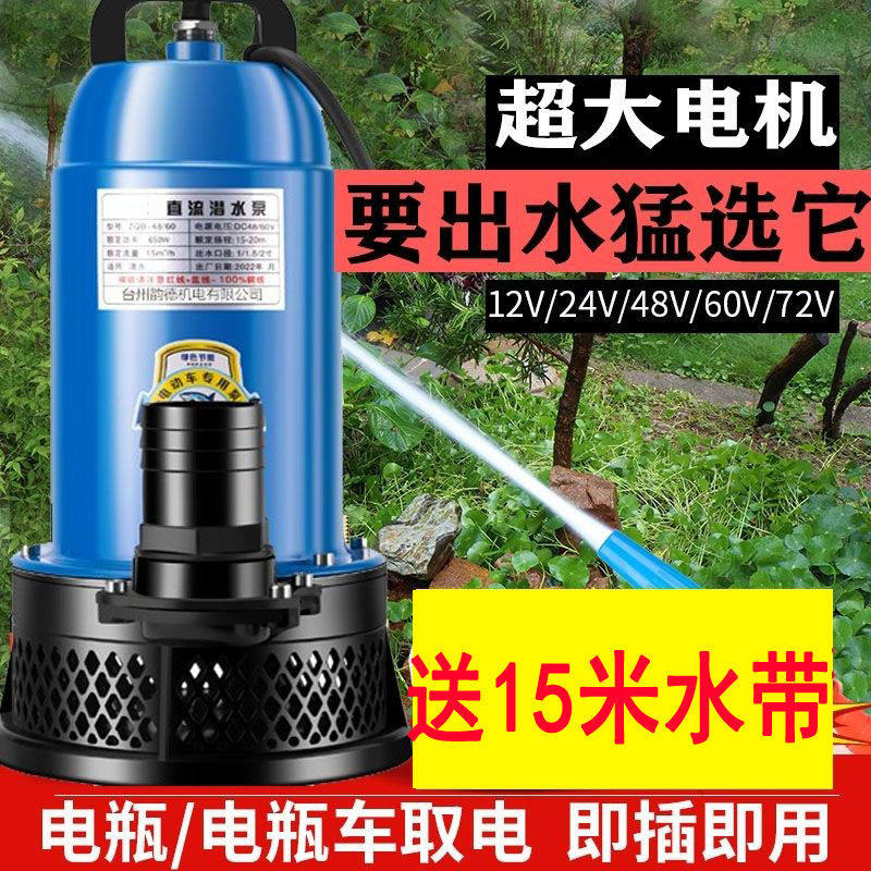抽水泵12V直流潜水泵农用灌溉48V水泵电动车家用60V小型抽水机