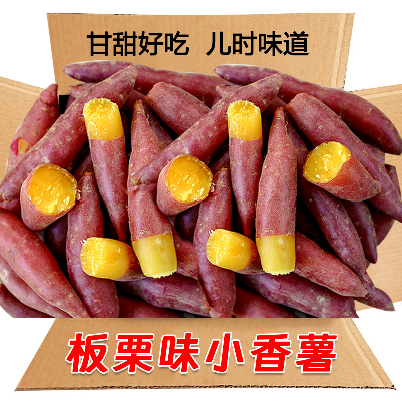 真小香薯5斤产地直销，板栗小红薯与天目山小香薯有何区别？-番薯