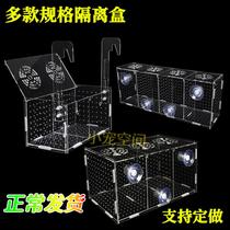 Fish tank isolation box acrylic isolation box plate fish hatching box aquarium fry hatching and breeding box multi-box special offer