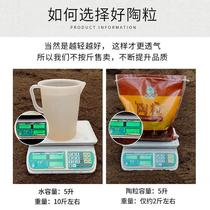 Ceramic flower bottom succulent potted paving stone lightweight clay hydroponic fish tank breathable small carbon ball gardening backfill