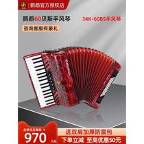 Parrot YW823 Accordion Examination Performance Beginner Accordion 60 Bass Accordion