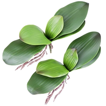 Orchid Leaves Artificial Phalaenopsis Stems Leaf Faux Cymbid