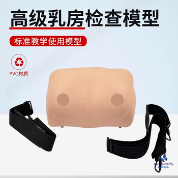 Blue butterfly model breast training and examination model teaching aids