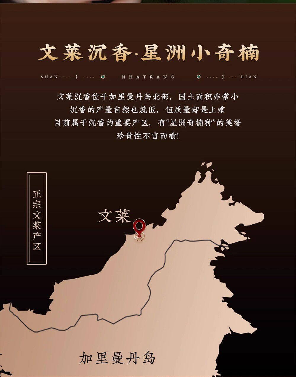 листья аквиларии 沉水级文莱沉香吊坠女士18k金无相佛高端文玩挂件扎基拉姆项链女