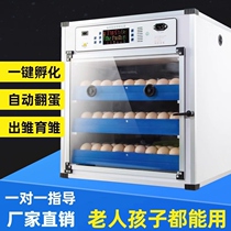 German imported incubator small and medium-sized household fully automatic chicken incubator rutin chicken egg incubator egg