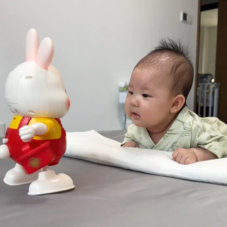 Baby Gift Full Moon Gift Lucky Rabbit Toy Baby Head-Up Practice Educational Attention Training Toy 0 to 6 Months