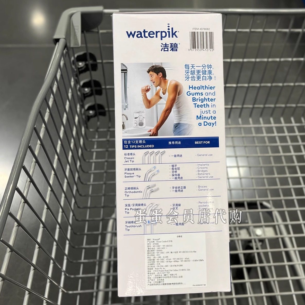 派派- 绝区零WIKI_BWIKI_哔哩哔哩, image size:1186x1186