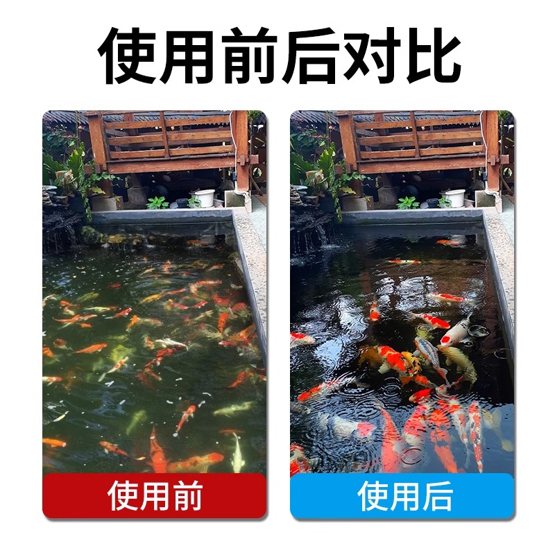 户外锦鲤鱼池的秘密武器：过滤系统解析