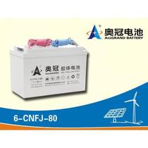 Gel battery 6-CNFJ-80 12V80AH solar power circuit light lighting special battery