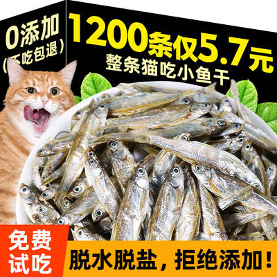 Dried small fish, freeze-dried spring fish, nutritious and fattening cat snacks, nutritional supplements, fish oil, freshwater river fish, kitten food