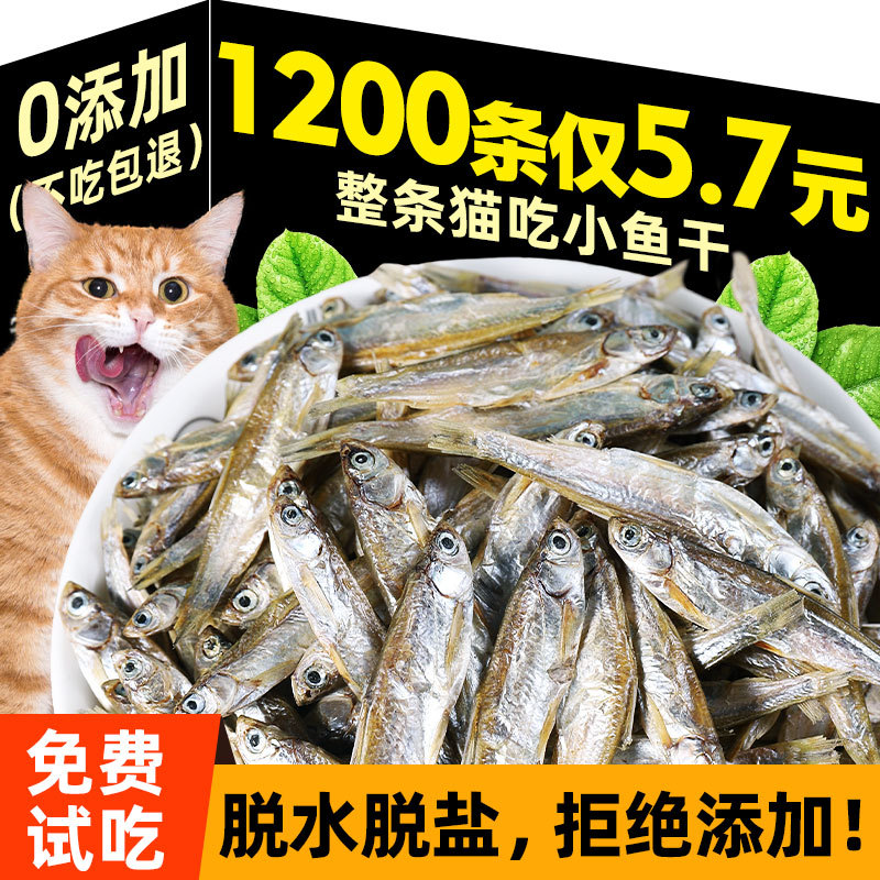 Dried Small Fish, Freeze-Dried Spring Fish, Nutritious Fattening Cat Snacks, Nutritional Supplement, Fish Oil, Freshwater River Fish, Kitten Cat Food