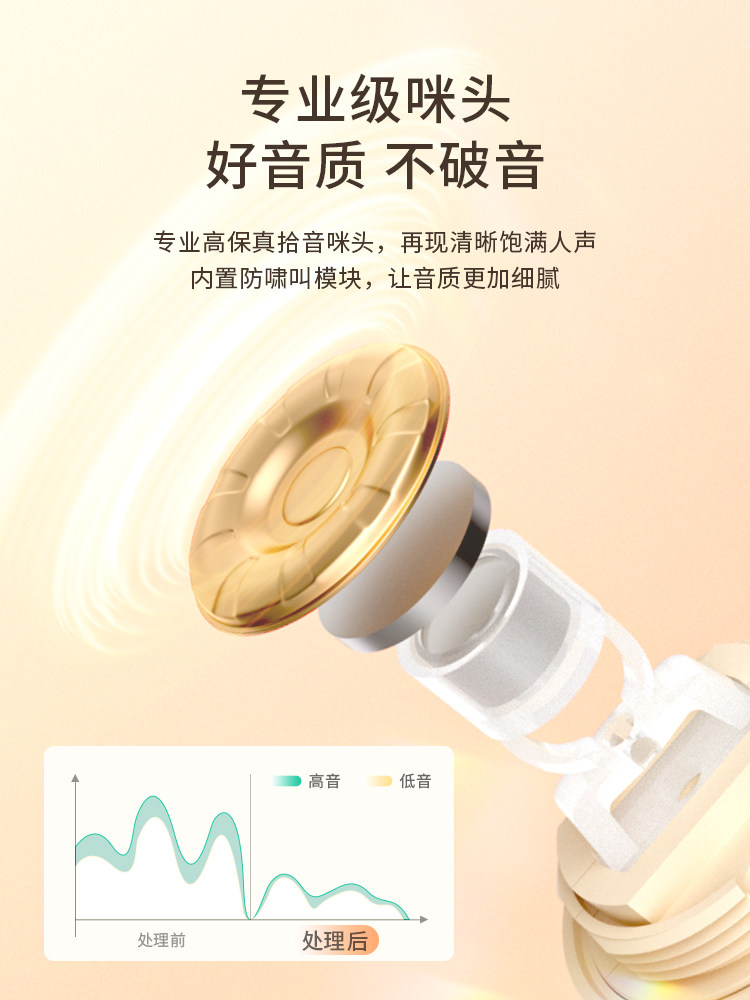 Soaiy Sk22 Microphone and Speaker Integrated Karaoke Machine Bluetooth Karaoke Machine for Kids and Family Ktv