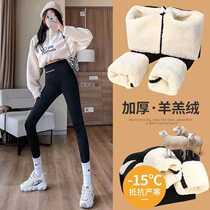 Thickened lamb velvet shark pants womens outer wear winter spring and autumn tight warm cotton pants plus velvet bottoming yoga Barbie pants