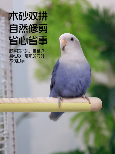 咔昂星鹦鹉站杆双拼魔爪站棍磨砂小鸟站架虎皮玄凤牡丹专用品玩具