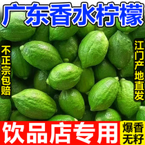 Guangdong Jiangmen Perfume Lemon First-Class Fruit Milk Tea Shop special fresh seedless stall hand-made second-class lemon drink