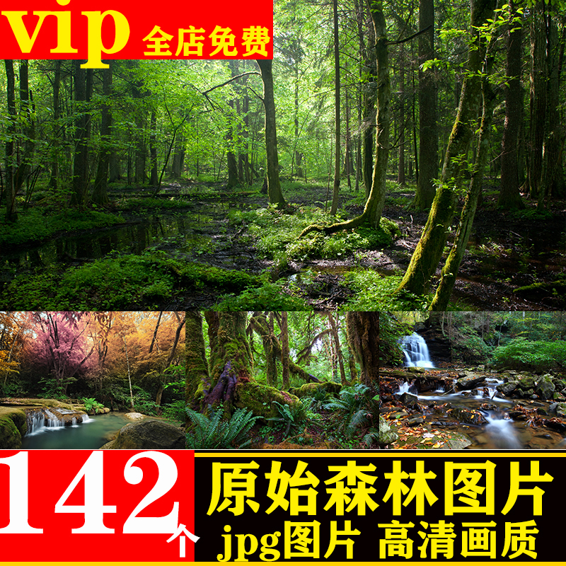 Commercially Usable 4K High-Definition Pictures of Natural Scenery in Virgin Forests, Mountainous Areas, and Jungle Trees, Background Poster Design Materials