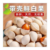 2023 Fresh Ginkgo Fruit Ginkgo Fruit Raw Ginkgo Kernel Unbleached Shelled Ginkgo Wholesale Xuzhou Pizhou Specialty