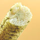 [Ten Qintian]Houmi Bao (Mustard Seaweed Flavored Cereal Bar)