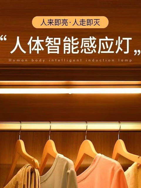 Human Body Intelligent Sensor Light Strip for Wardrobe, Shoe Cabinet, Wireless Self-Adhesive Kitchen Rechargeable Led Magnetic Cabinet Light