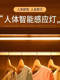 Human Body Intelligent Sensor Light Strip for Wardrobe, Shoe Cabinet, Wireless Self-Adhesive Kitchen Rechargeable Led Magnetic Cabinet Light