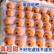 (Authentic Mengzi sweet loquat) Freshly picked Yunnan fresh loquat fruit Pipa Fruit Orchard straight delivery