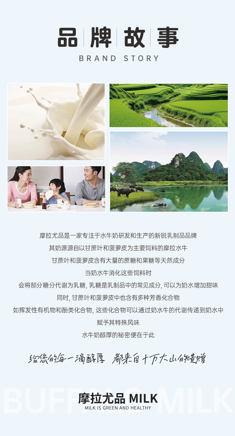 安享好物 安享B级纯奶-摩拉尤品A2 水牛纯牛奶 国标 