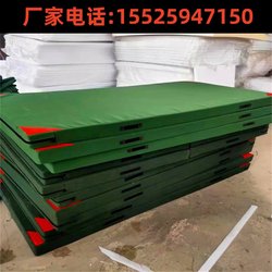 Gymnastics Mat Somersault School Mat Wrestling Mat Dance Mat Training Mat Skills Martial Arts Protective Sports Foldable Mat
