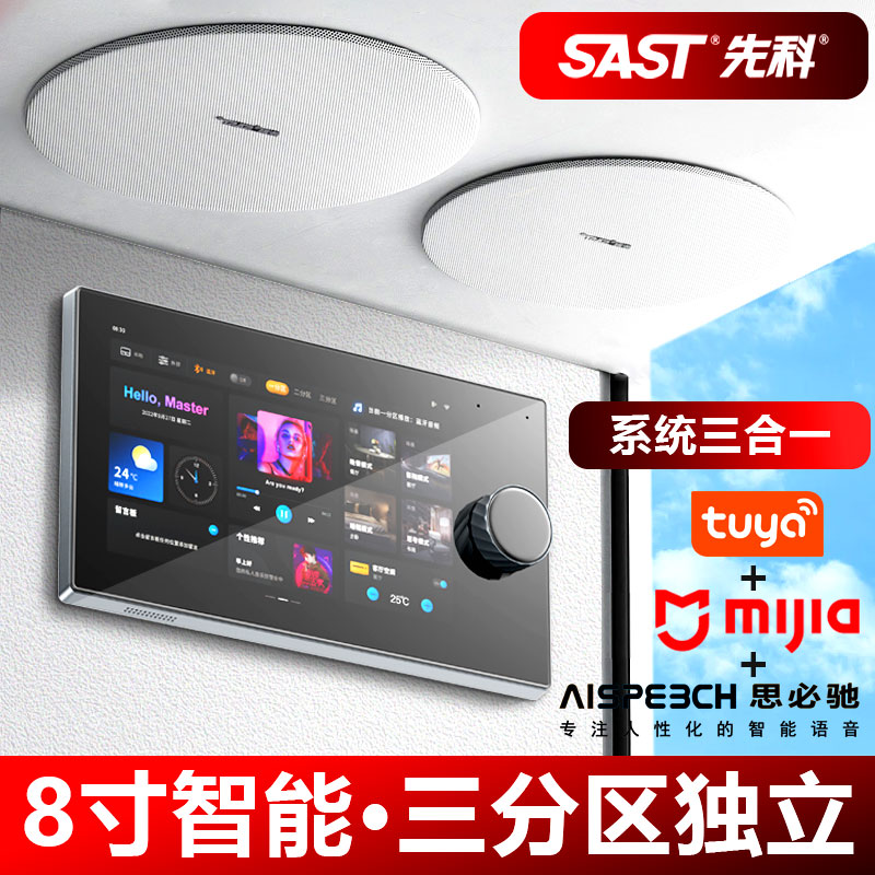 Xianke 天井オーディオ ホームシアタースピーカー ホームリビングルーム サラウンド天井 スマート BGM セット