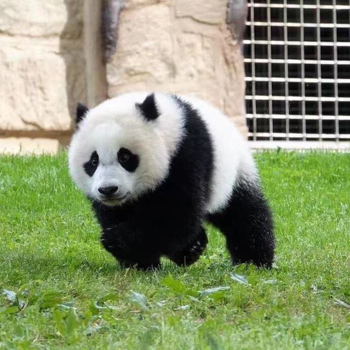 壹加壹百货商行