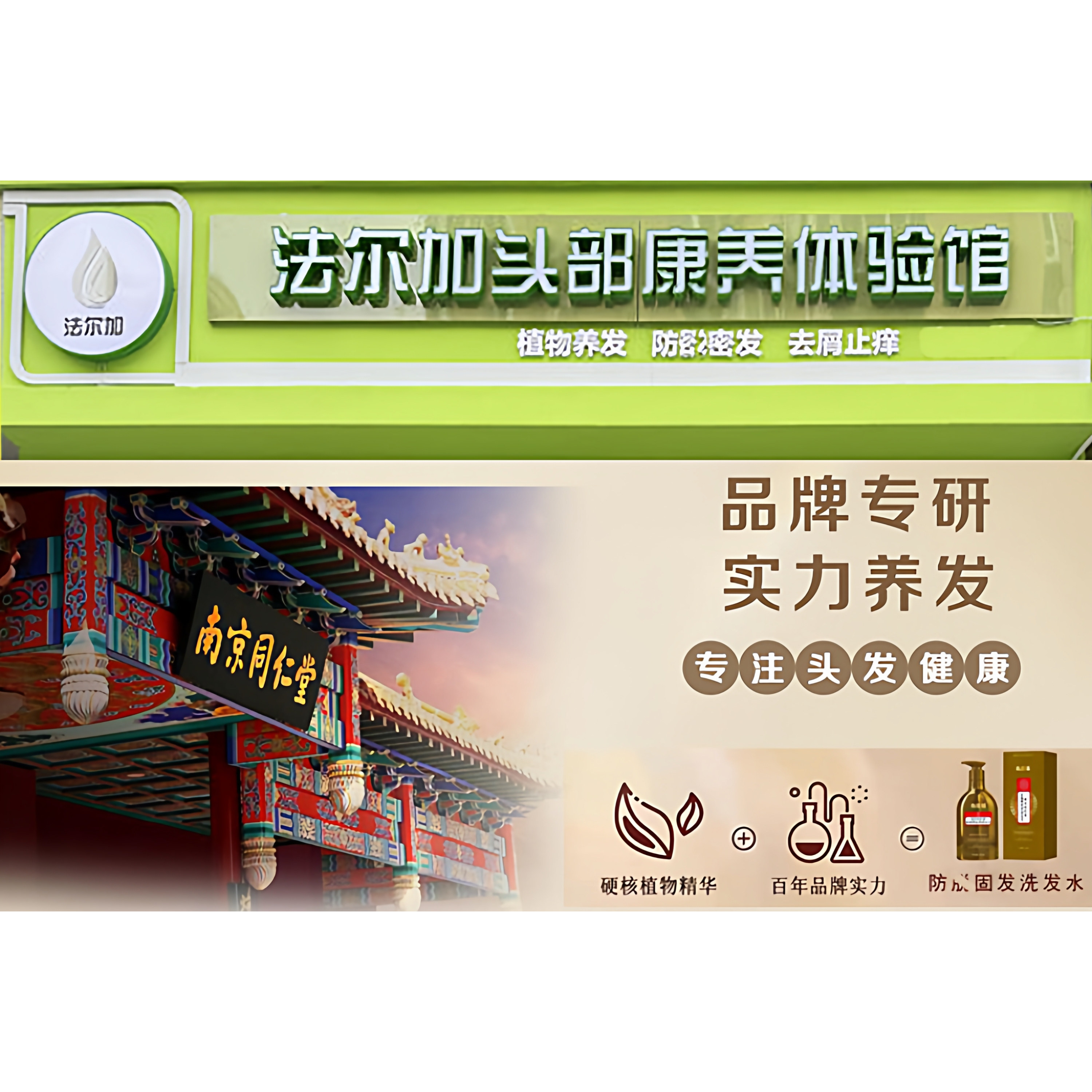 白发养黑实体店的LOGO