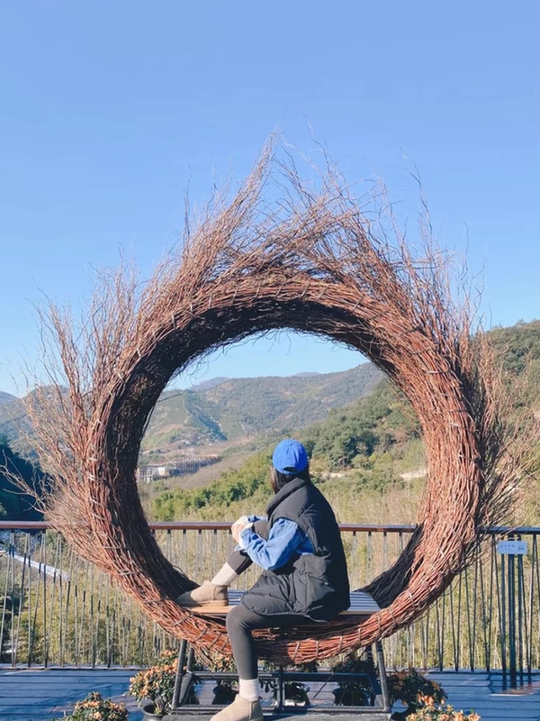 Bali's Popular Bird's Nest Outdoor Hanging Swing, Photo Prop for Wedding Shoots, Homestay Hammock, Hanging Chair