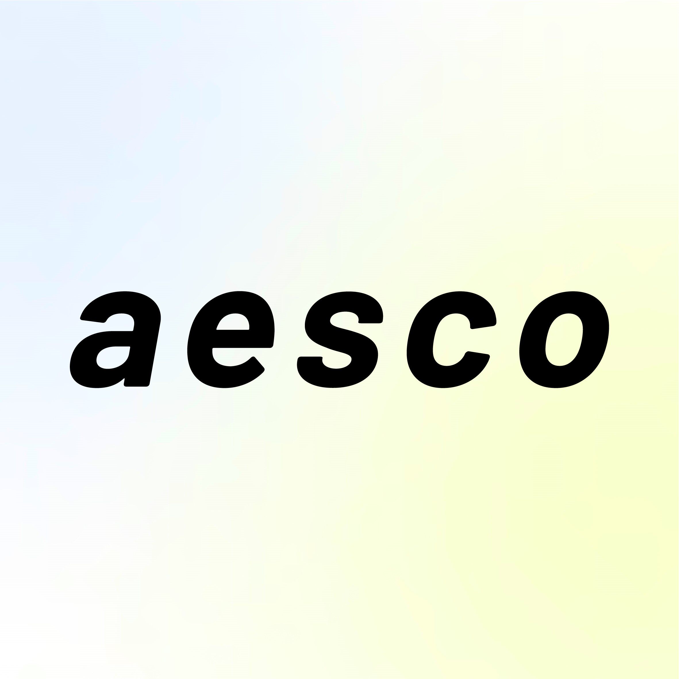 AESCO旗舰店的LOGO
