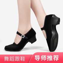 Ethnic dance shoes Yangko shoes womens solid-heeled flat heels Northeast twisted Yangko dance practice test special velvet dance shoes
