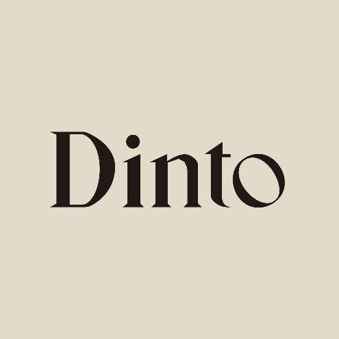 DINTO海外旗舰店的LOGO