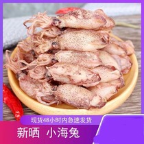 Promotion of new sun-dried sea rabbit dried goods 500g dried cuttlefish pen tube fish small dried squid cub sea rabbit seafood dried goods