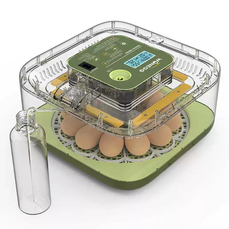 [跨境全自动宠物家用小型孵蛋器孵化器智能养殖专用设备鹦鹉芦丁鸡]